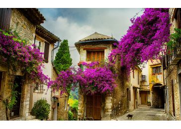 Интересные цветочные традиции Италии