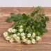 Голландская кустовая роза "Сноуфлейк"