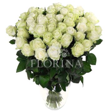 Роза Аваланж Роза Аваланж