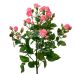 Роза "Грация" 70 см.